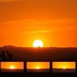 Meet your Posher, Xavier